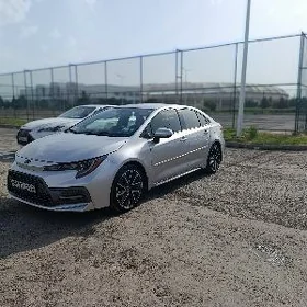 Toyota Corolla 2020