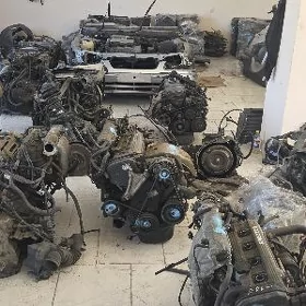 Morda zapcaslar Matorlar