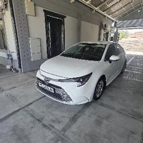 Toyota Corolla 2024