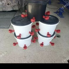 towuk juje ucin suw gap