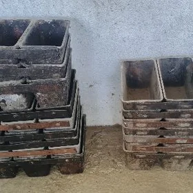 Buhanka galyp