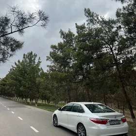 Toyota Camry 2016
