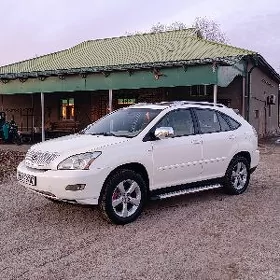 Lexus RX 330 2004