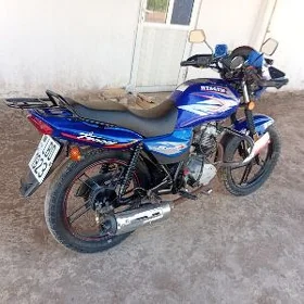 Fekon FK150-8G 2012
