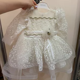 койнек