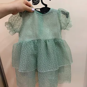 койнек
