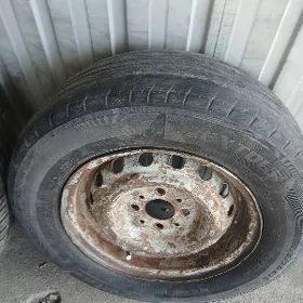 zapasga13