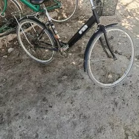 welik 26