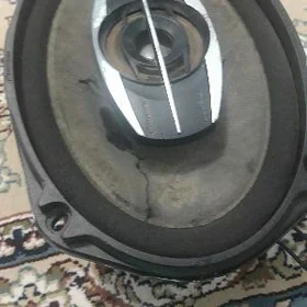 Pioneer nikl