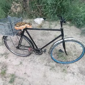 ural