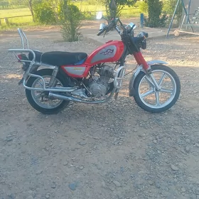Fekon FK150-8G 2013