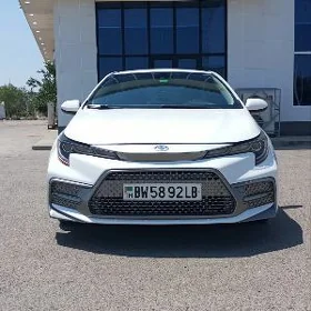Toyota Corolla 2021