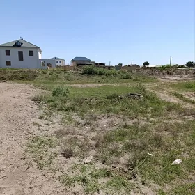 Satlyk mellek