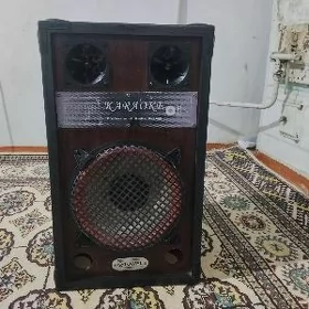 karaoke kalonka