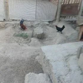 karlik