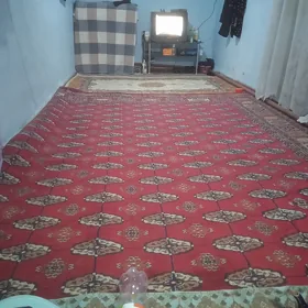Haly  jangada