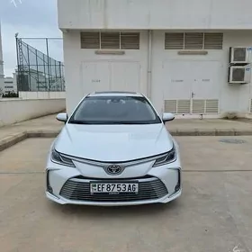 Toyota Corolla 2021