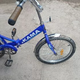 Stels kama tigir