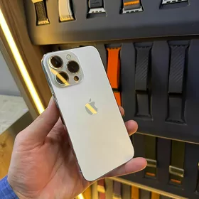 iP 13pro