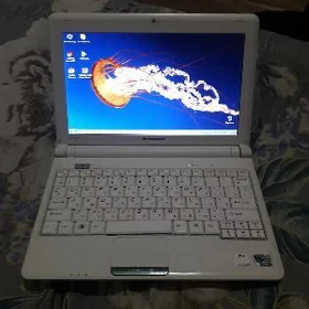 lenova