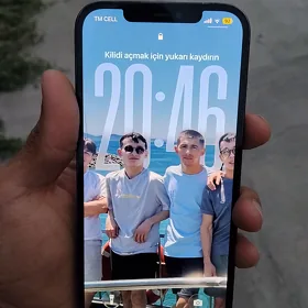 iPhone 12 Pro Max
