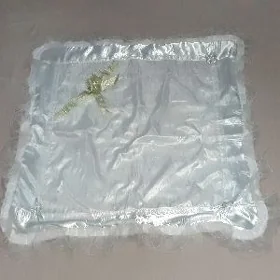 çaga dolagy