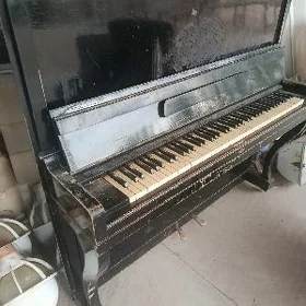pianina