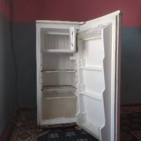 Haladilnin