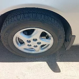 tayota disge