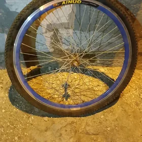 Öwki dis bä şýüzlik