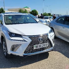 Lexus NX 300 2021