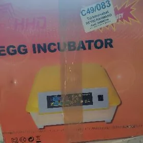 inkubator