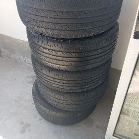 Pakryşka 205 55 16