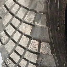 kamaz tekir wedusy