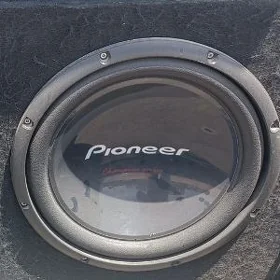pioneer