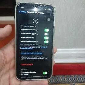 Iphone X 17pro owurlen