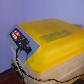 inkabator