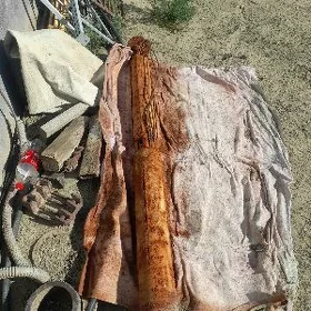 nasos 6lik