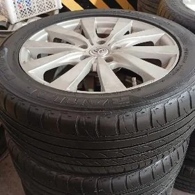 limited diska pakriska 17