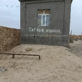 Satlyk jay
