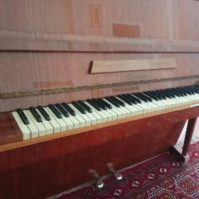 pianino