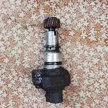 Spidametir dajik