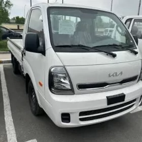 kia bonga saylari