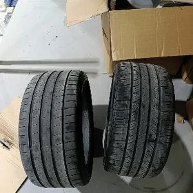 Dunlop