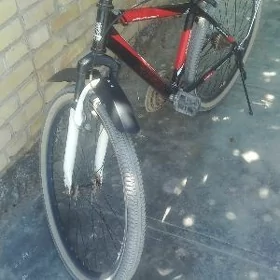 sportivno velik