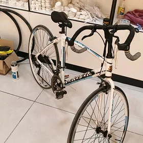 sportiwny