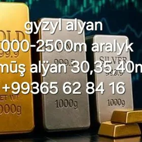 gyzyl kümüş alyan yokary bahad