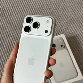 17pro