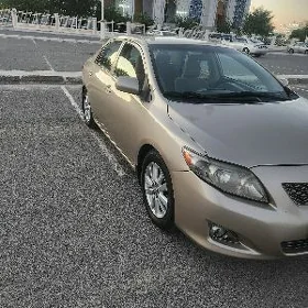 Toyota Corolla 2010