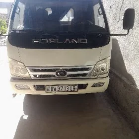 Forland H2 2013